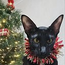 ���� �����, ����������� - ��������� 31 ������� 2025 � ������ ���� ����������