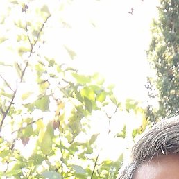 Rasim, ������, 50 ���