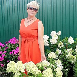 ���� ������, ������, 63 ���� - ��������� 3 ������ 2025