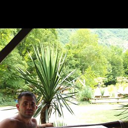 , 30, 