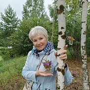 ������, , ������