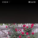 ���� �������, �����-���������, 53 ���� - ��������� 23 ������ 2026
