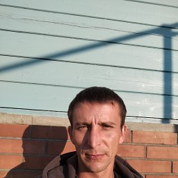 , 37, 