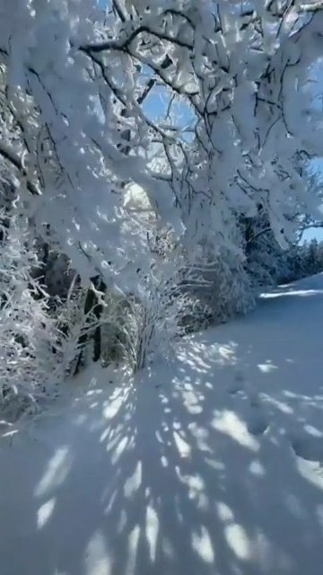  , (1895 .).,   ,    !   ...