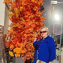  ,  , 61  -  11  2025