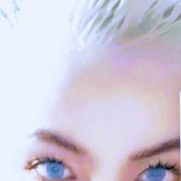 ����, ������, 40 ���