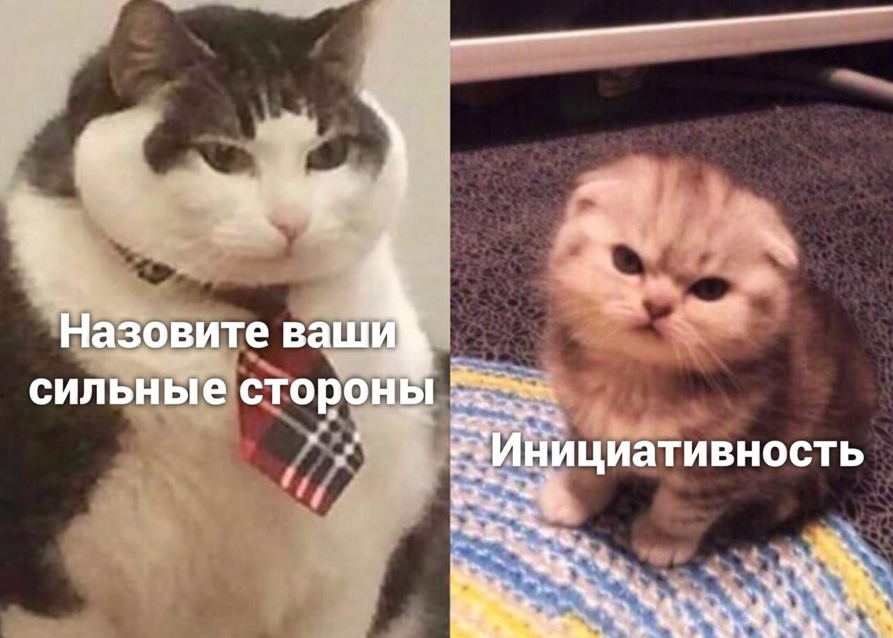 ������� ����������