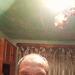 ������, 49 ���, ����