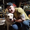 ���� ����, ������, 41 ��� - ��������� 17 ������� 2025 � ������ ���� ����������