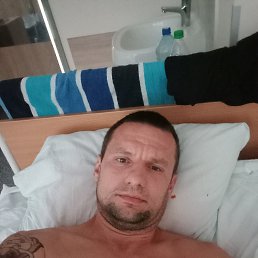 ���� ����, �����, 41 ��� - ��������� 24 ��� 2026