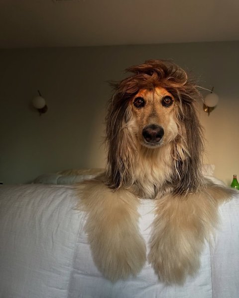     .  .  , ,    ... - 4