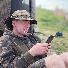 , 41, 