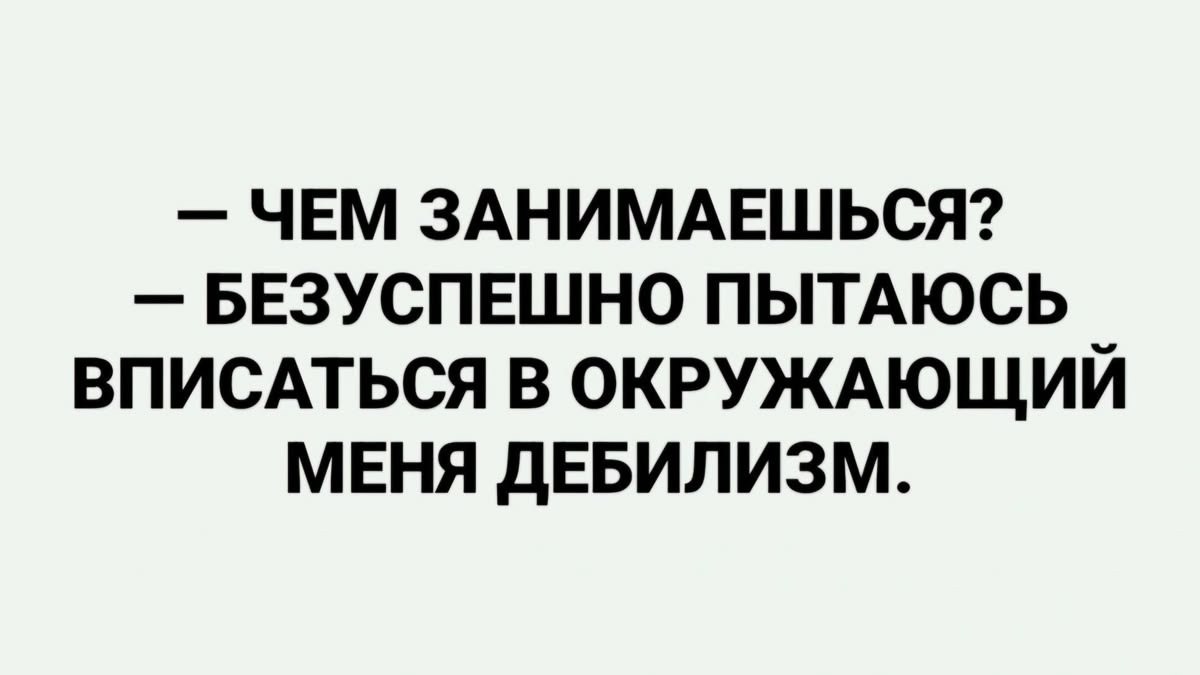   . - 15  2025  13:38