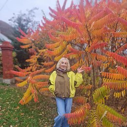 , 55, 