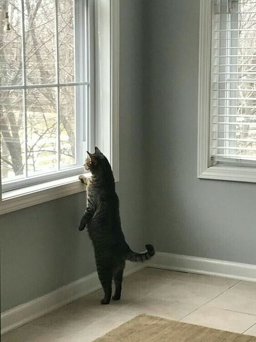      ,    .