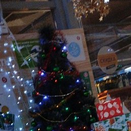 ����, ������-��-����, 40 ���