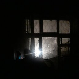 �������, ������, 38 ���