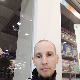 , , 31 
