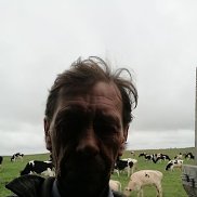 , 47 , 
