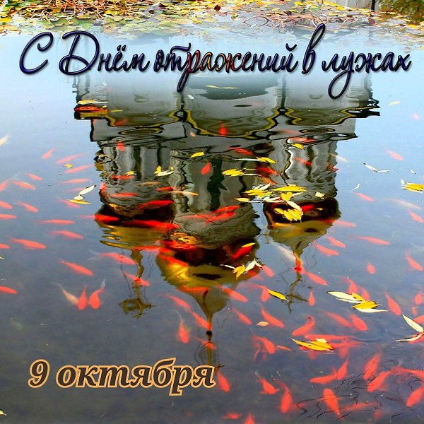 https://i07.fotocdn.net/s219/99b327a5e2fce59a/public_pin_m/3011071166.jpg