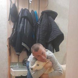 , 41, -