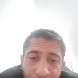 �����, �������, 42 ����