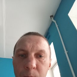 , 40, 