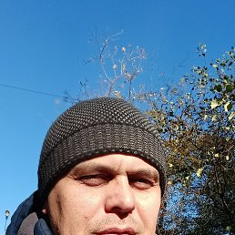 , 42 , 