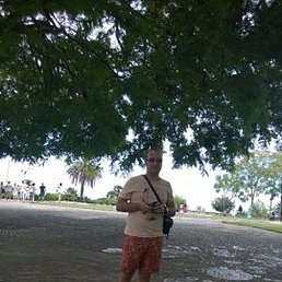 ���������, ������, 36 ���