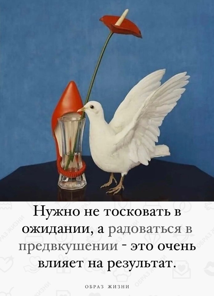 Co-Motivation.... . - 3  2024  10:25