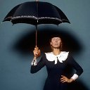 ���� Arisha, �����-���������, 50 ��� - ��������� 29 ������ 2023 � ������ ������