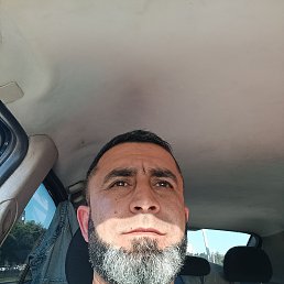 , 37, 