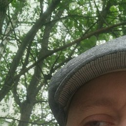 ������, �����-���������, 45 ���