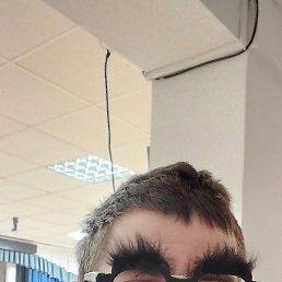 ���������, �����������, 31 ���