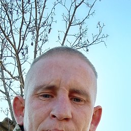 , 32, 