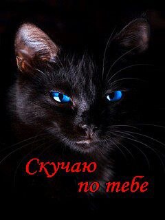 ���� Lyubov, ������, 44 ���� - ��������� 11 ������ 2024