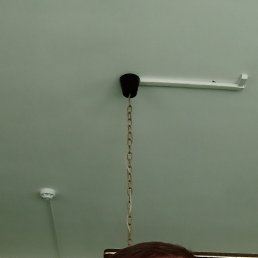 , 53, 