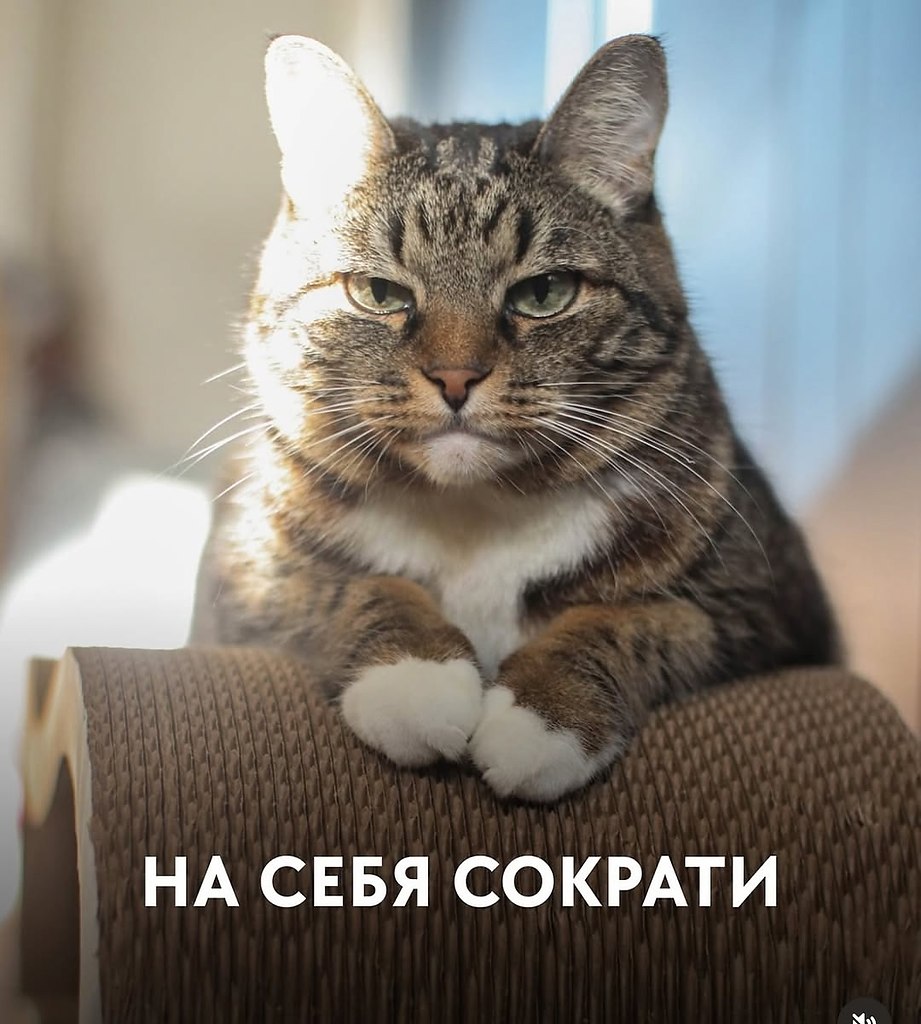     !) - 2