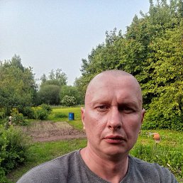 , 40, 