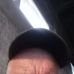 , 61, 