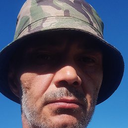 , 43, 