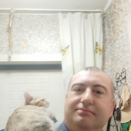 , 41, 