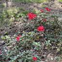 ���� ������, �������, 62 ���� - ��������� 13 ��� 2025 � ������ ���� ����������