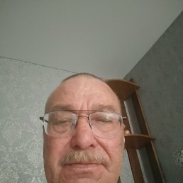 , 65, 