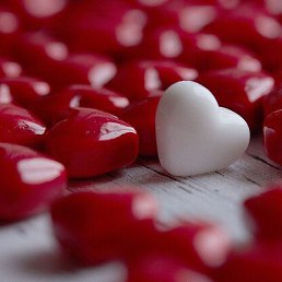 �����, ������, 45 ���