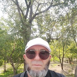 , 53, 