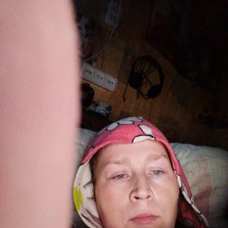 �����, 33 ����, ������