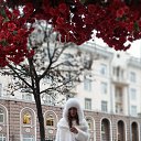  , --, 43  -  12  2025