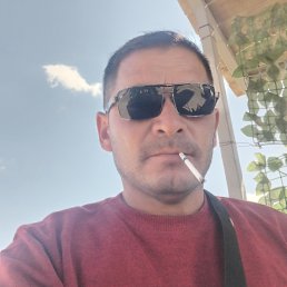 , 33, 