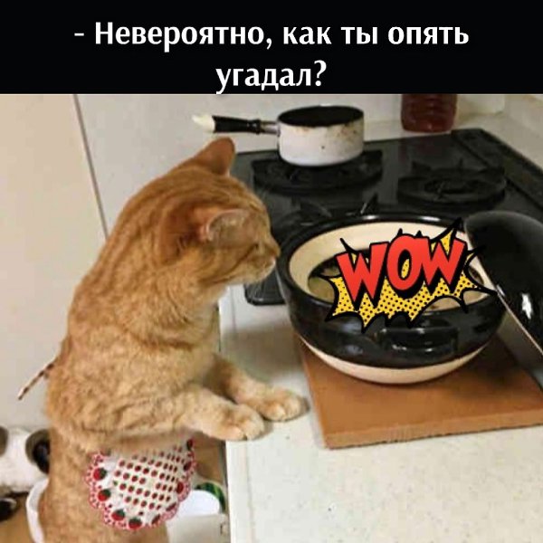       - 2  2025  21:56 - 3